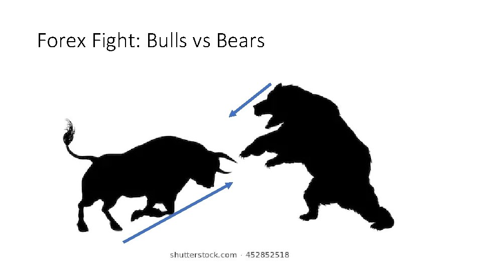 Forex Fight: Bulls vs Bears 