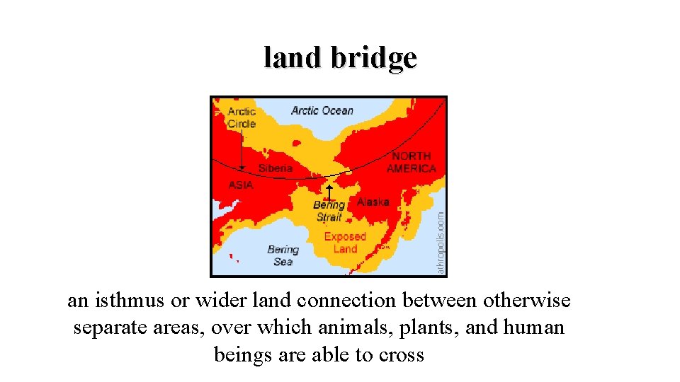 land bridge an isthmus or wider land connection between otherwise separate areas, over which