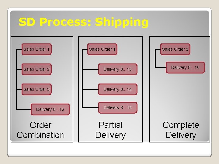 SD Process: Shipping Sales Order 1 Sales Order 4 Sales Order 2 Delivery 8… SD Process: Shipping Sales Order 1 Sales Order 4 Sales Order 2 Delivery 8…