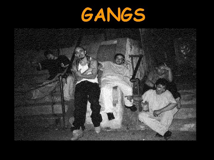 GANGS 