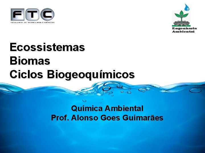 Ecossistemas Biomas Ciclos Biogeoquímicos Química Ambiental Prof. Alonso Goes Guimarães 