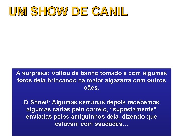UM SHOW DE CANIL A surpresa: Voltou de banho tomado e com algumas fotos