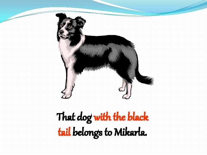 That dog with the black tail belongs to Mikarla. 