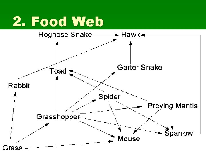 2. Food Web 