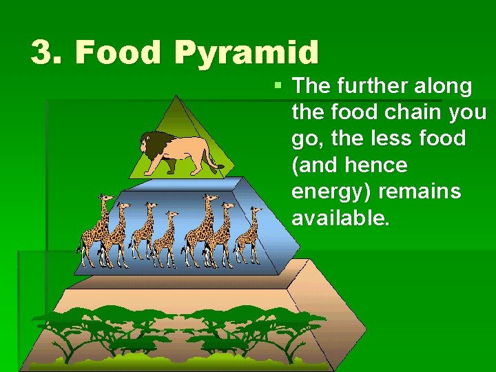 3. Food Pyramid § The further along the food chain you go, the less