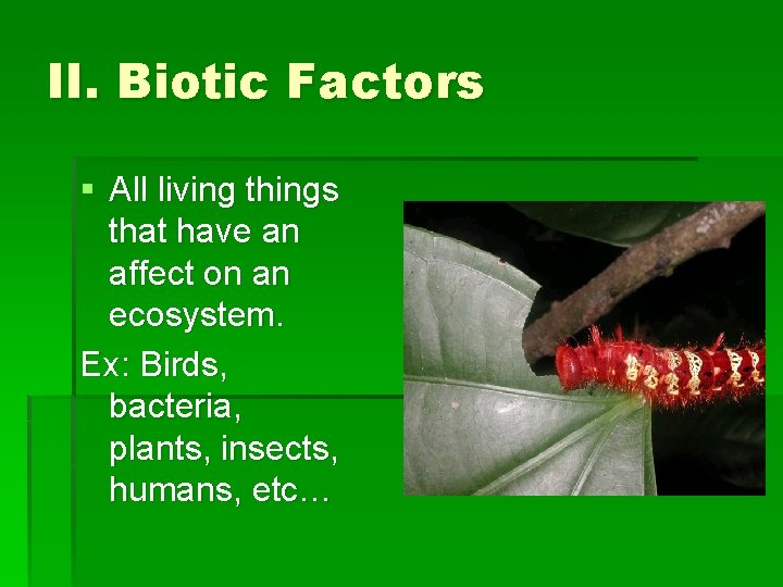 II. Biotic Factors § All living things that have an affect on an ecosystem.