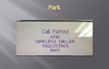Park Park