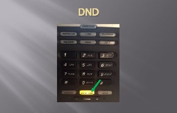 DND DND