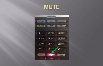 MUTE MUTE
