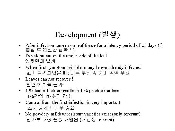Development (발생) • After infection unseen on leaf tissue for a latency period of