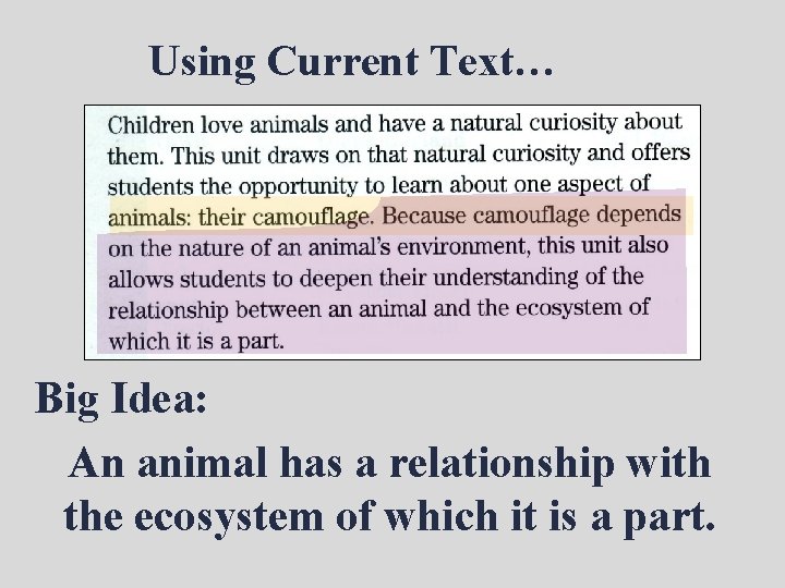 Using Current Text… Big Idea: An animal has a relationship with the ecosystem of