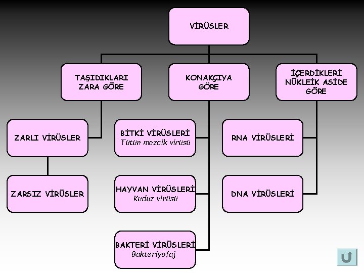 VİRÜSLER TAŞIDIKLARI ZARA GÖRE KONAKÇIYA GÖRE İÇERDİKLERİ NÜKLEİK ASİDE GÖRE ZARLI VİRÜSLER BİTKİ VİRÜSLERİ