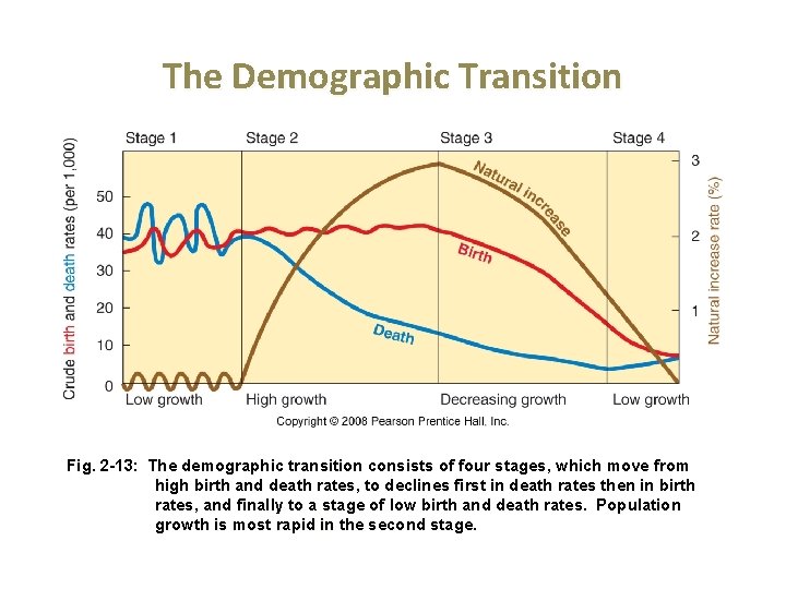 The Demographic Transition Fig. 2 -13: The demographic transition consists of four stages, which