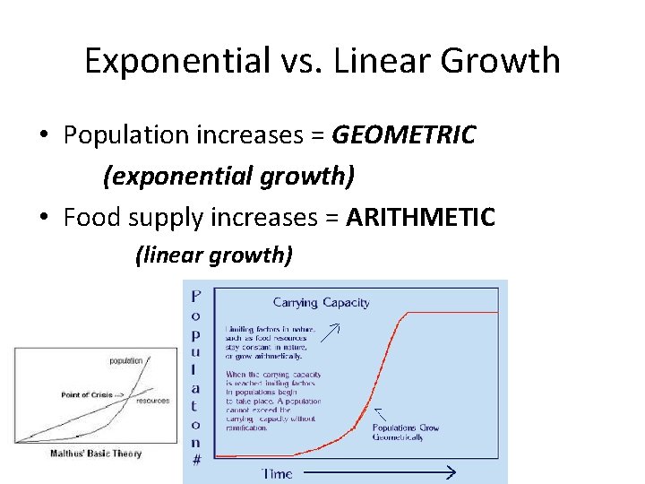 Exponential vs. Linear Growth • Population increases = GEOMETRIC (exponential growth) • Food supply