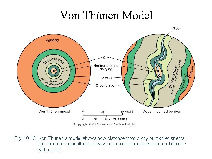Von Thünen Model Fig. 10 -13: Von Thünen’s model shows how distance from a