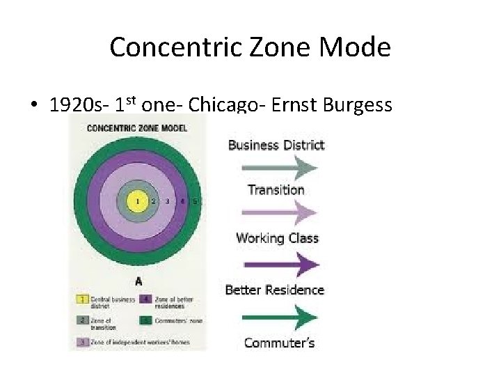 Concentric Zone Mode • 1920 s- 1 st one- Chicago- Ernst Burgess 