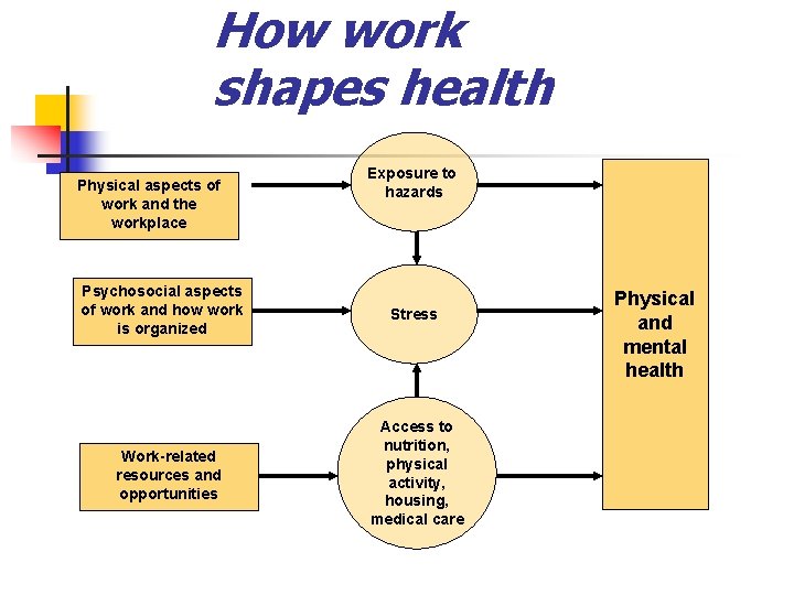 How work shapes health Physical aspects of work and the workplace Psychosocial aspects of