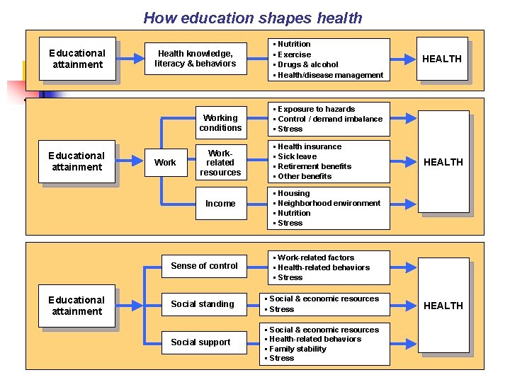 How education shapes health Educational attainment Health knowledge, literacy & behaviors Working conditions §