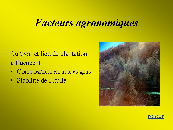 Facteurs agronomiques Cultivar et lieu de plantation influencent : • Composition en acides gras