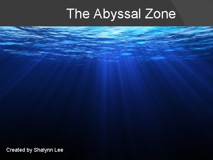 The Abyssal Zone Created by Shalynn Lee 