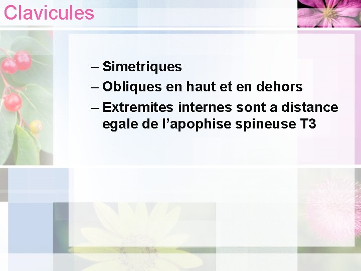 Clavicules – Simetriques – Obliques en haut et en dehors – Extremites internes sont