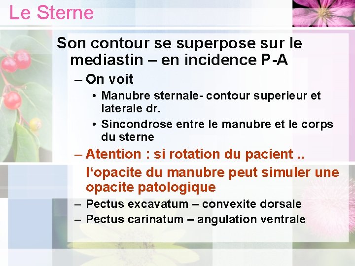 Le Sterne Son contour se superpose sur le mediastin – en incidence P-A –