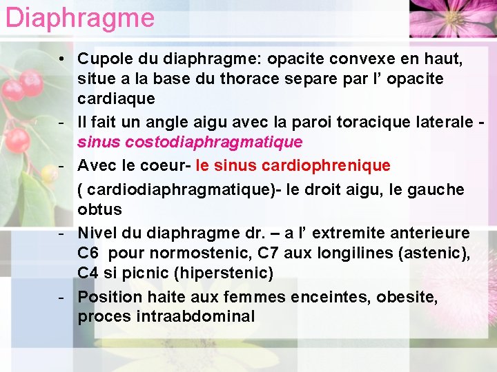 Diaphragme • Cupole du diaphragme: opacite convexe en haut, situe a la base du