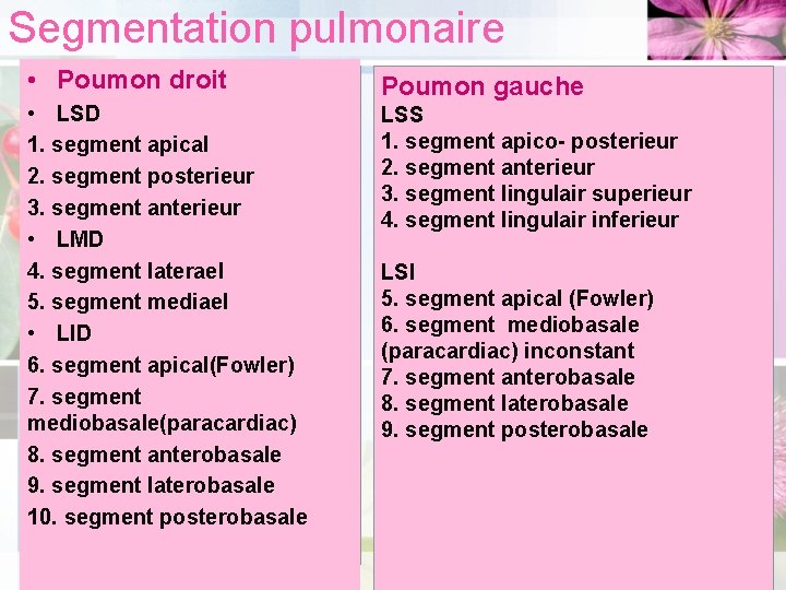 Segmentation pulmonaire • Poumon droit Poumon gauche • LSD 1. segment apical 2. segment