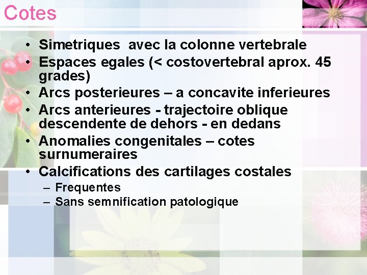 Cotes • Simetriques avec la colonne vertebrale • Espaces egales (< costovertebral aprox. 45