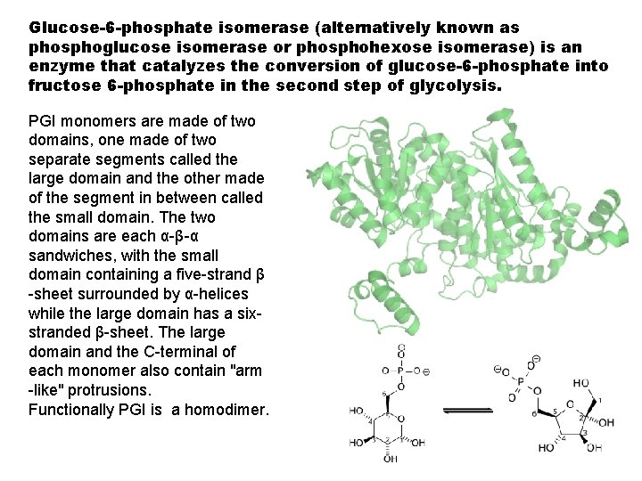 Glucose-6 -phosphate isomerase (alternatively known as phosphoglucose isomerase or phosphohexose isomerase) is an enzyme