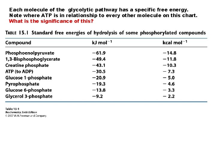 Each molecule of the glycolytic pathway has a specific free energy. Note where ATP