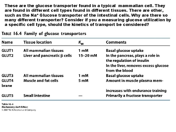 These are the glucose transporter found in a typical mammalian cell. They are found