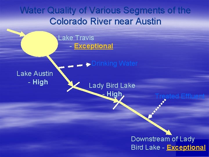 Water Quality of Various Segments of the Colorado River near Austin Lake Travis -