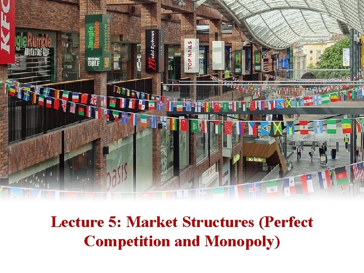 Lecture 5: Market Structures (Perfect Competition and Monopoly) 
