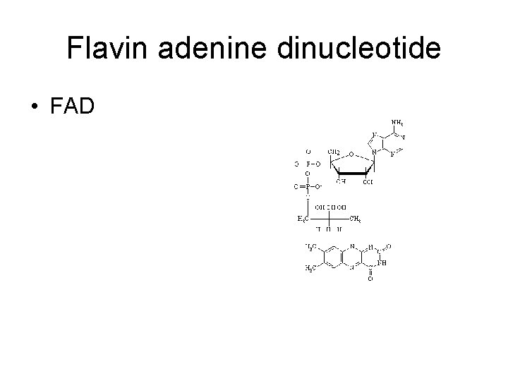 Flavin adenine dinucleotide • FAD 