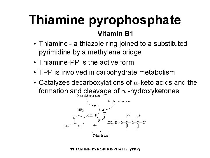 Thiamine pyrophosphate • • Vitamin B 1 Thiamine - a thiazole ring joined to