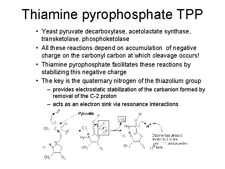 Thiamine pyrophosphate TPP • Yeast pyruvate decarboxylase, acetolactate synthase, transketolase, phosphoketolase • All these