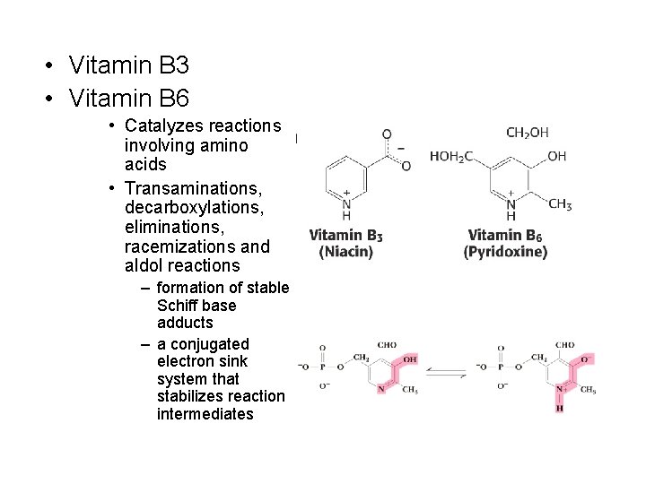  • Vitamin B 3 • Vitamin B 6 • Catalyzes reactions involving amino