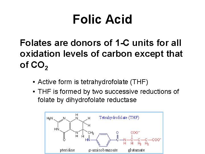 Folic Acid Folates are donors of 1 -C units for all oxidation levels of