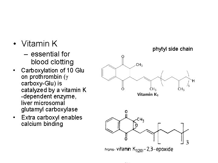  • Vitamin K – essential for blood clotting • Carboxylation of 10 Glu