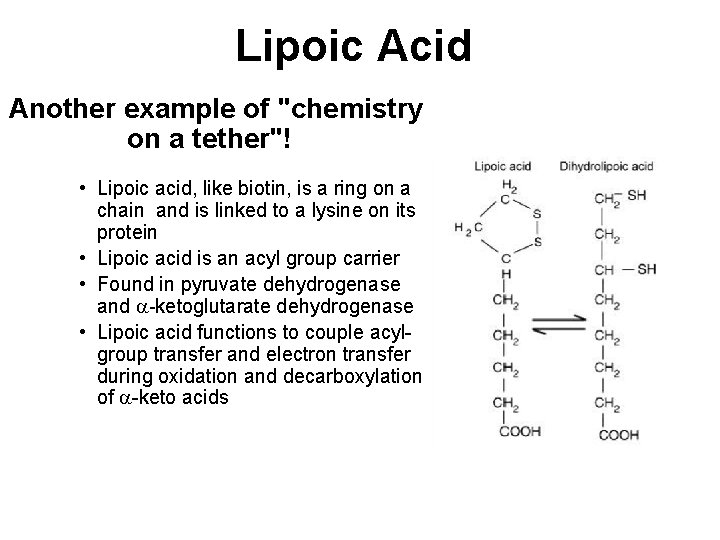Lipoic Acid Another example of "chemistry on a tether"! • Lipoic acid, like biotin,