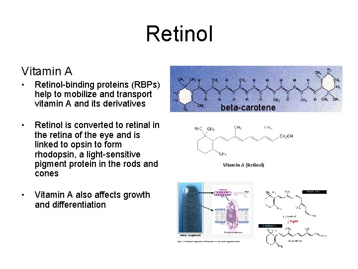 Retinol Vitamin A • Retinol-binding proteins (RBPs) help to mobilize and transport vitamin A