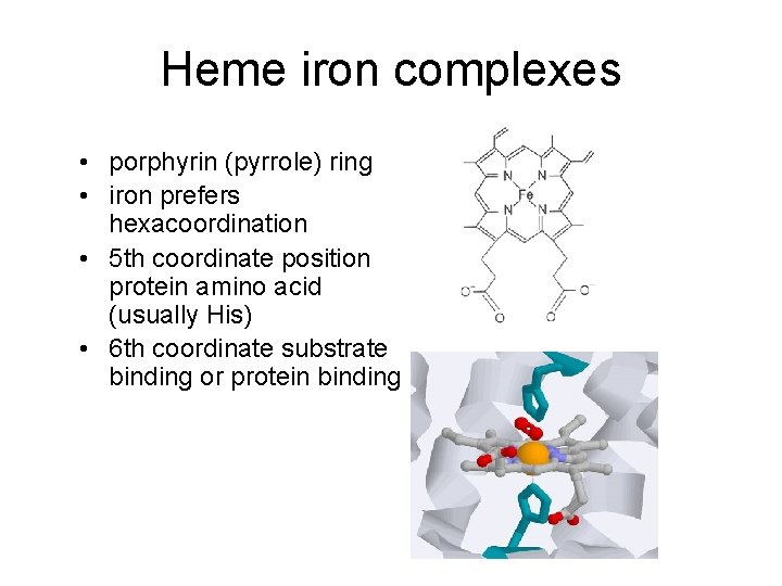 Heme iron complexes • porphyrin (pyrrole) ring • iron prefers hexacoordination • 5 th