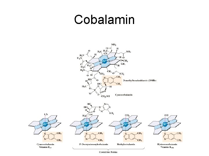 Cobalamin 