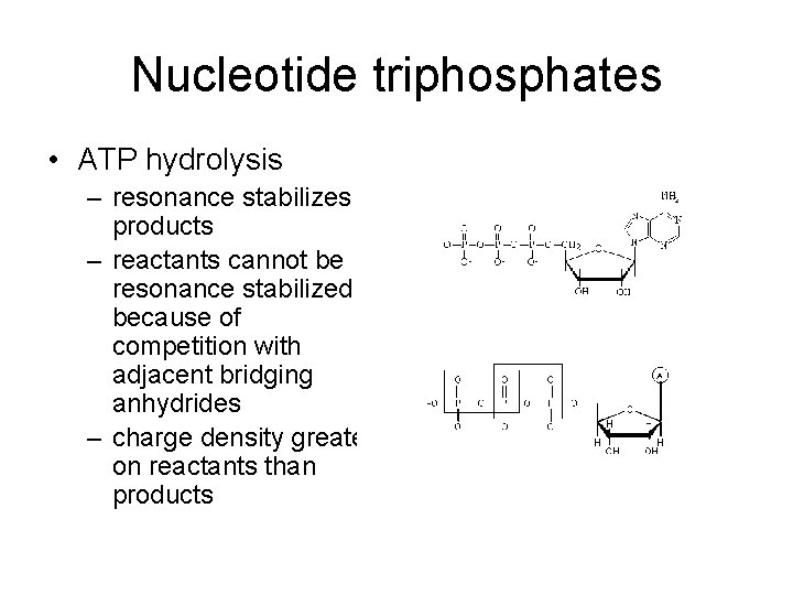 Nucleotide triphosphates • ATP hydrolysis – resonance stabilizes products – reactants cannot be resonance