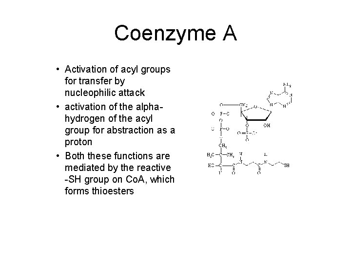 Coenzyme A • Activation of acyl groups for transfer by nucleophilic attack • activation