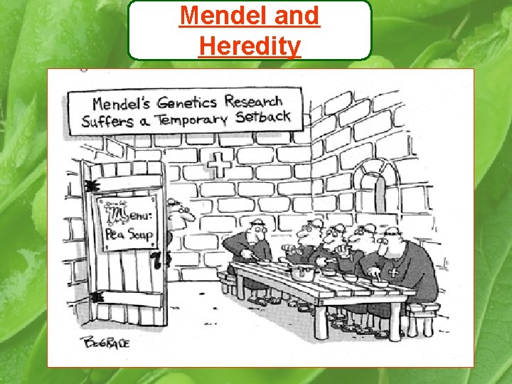 Mendel and Heredity 