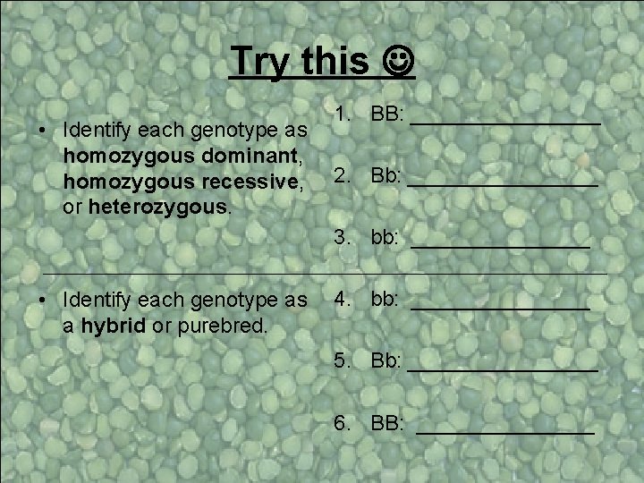 Try this • Identify each genotype as homozygous dominant, homozygous recessive, or heterozygous. 1.