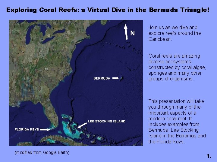 Exploring Coral Reefs: a Virtual Dive in the Bermuda Triangle! Join us as we