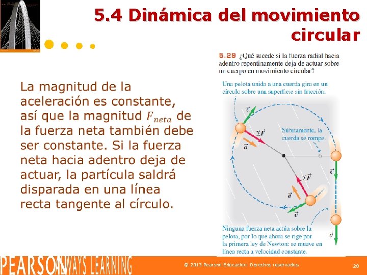 5. 4 Dinámica del movimiento circular © 2013 Pearson Educación. Derechos reservados. 28 